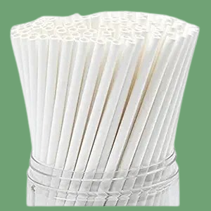 Paper Straw